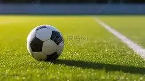 印尼超赛场喜讯连连！昨夜连红佳绩，客队能否逆袭争冠？热血激战，不容错过！